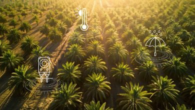 revolutionizing-agriculture:-farmsent,-dronedash,-and-skyx-pioneer-smart-farming-in-malaysia